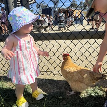 Bonsall Berry Farm - Pick Your Own Farms Near Me - Bonsall, California
