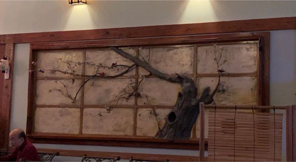 Midori Sushi Austin by null