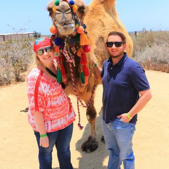 Cabo Adventures - Can we keep him - Boat Tours Near Me - Cabo San Lucas, BCS Cabo Adventures - Can we keep him - Boat Tours Near Me - Cabo San Lucas, BCS