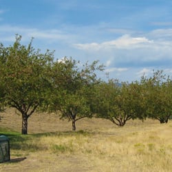 Jackass Hill Park