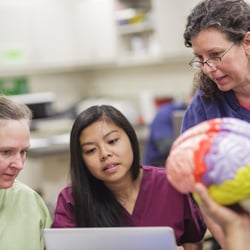 Sonoran University of Health Sciences  - Our naturopathic medical degree program is comprised of rigorous academic study and extensive supervised practice.