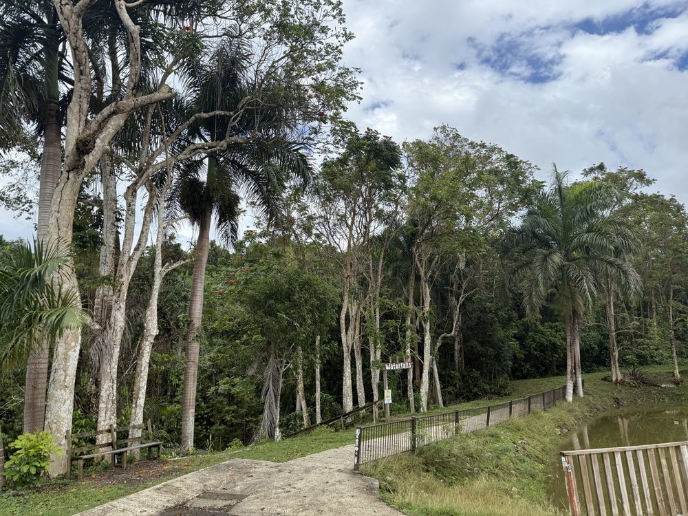 Caguana Ceremonial Indigenous Heritage Center Image