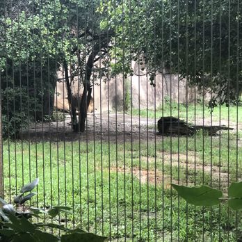 Memphis Zoo - Zoos Near Me - Memphis, Tennessee Memphis Zoo - Zoos Near Me - Memphis, Tennessee