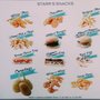 Photo of Starr's Famous Shakes