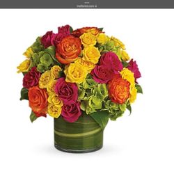Main Street Florist
