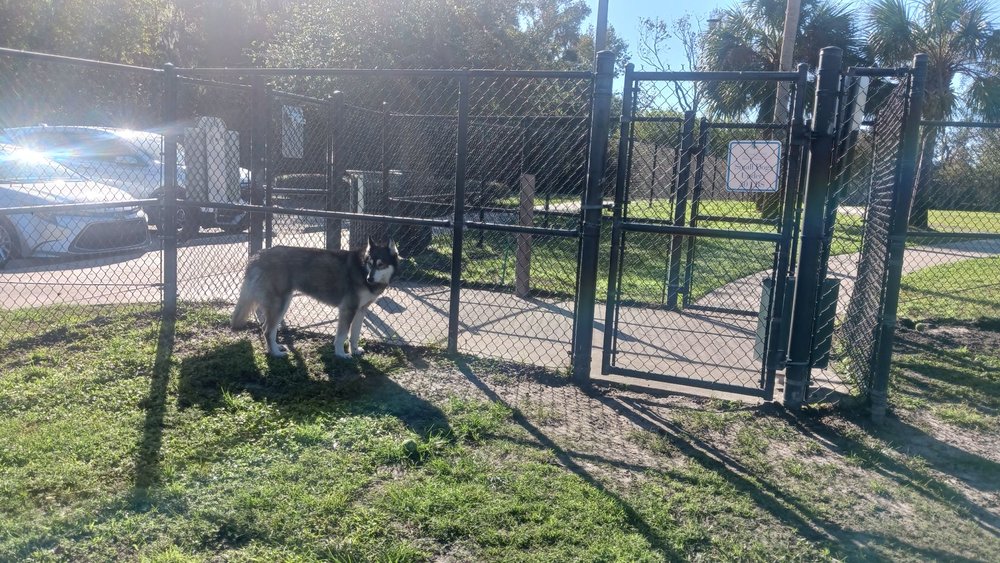 Palm Coast Dog Park Image