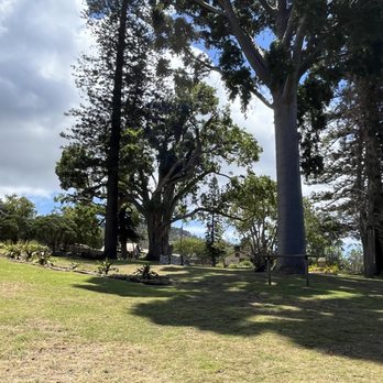 MauiWine - Wineries Near Me - Kula, Hawaii