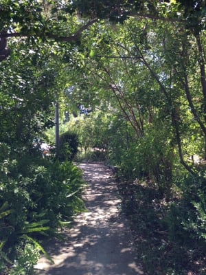 Prospect Park by null