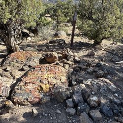 Escalante Petrified Forest State Park