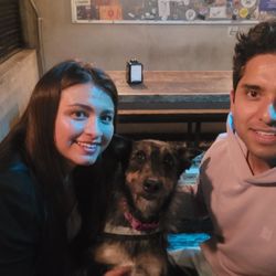 Peter Brown - Es Pet fríedly gente.  Nuestra perrita fue la que tomó más.