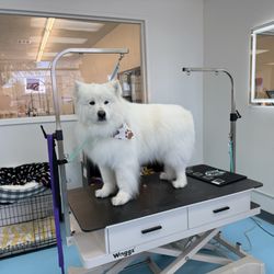 Animal House Grooming