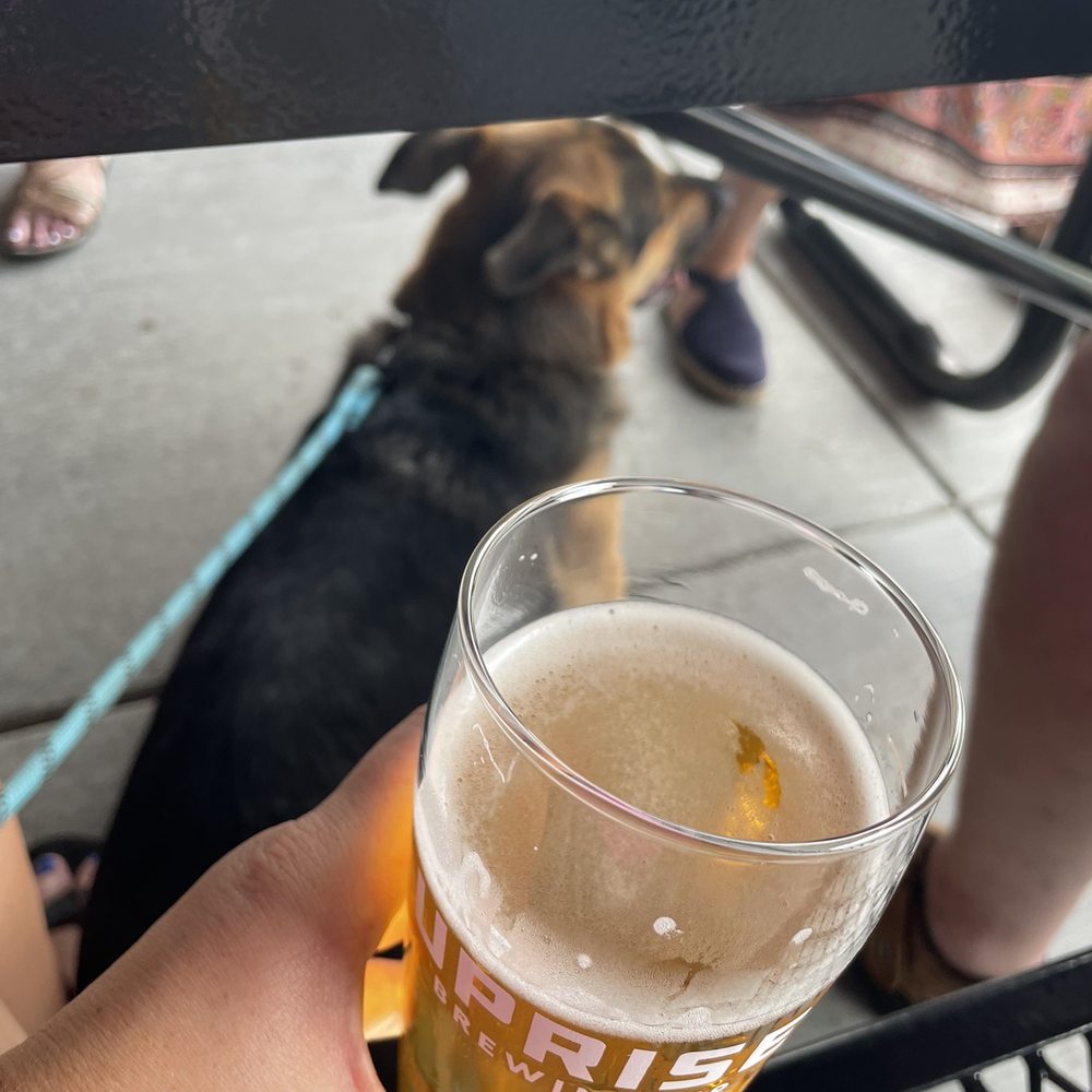 Uprise Brewing - Dog-friendly patio - Breweries Near Me - Spokane, Washington Uprise Brewing - Dog-friendly patio - Breweries Near Me - Spokane, Washington