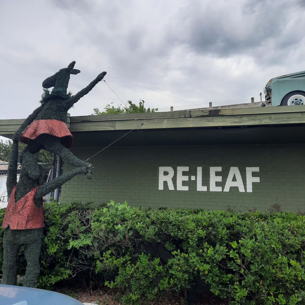 Re-Leaf Plant Market - Re Leaf (previously owned plants for sale) - Nurseries & Gardening Near Me - Houston, Texas