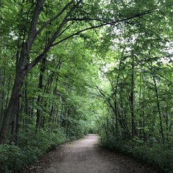 Lillie Park - Peaceful trail around the pond.