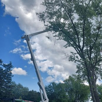 Advanced Tree Care - Tree Services Near Me - Lincolnshire, Illinois