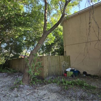 Progress Residential - Another angle of the tree leaning against roof - Real Estate Services Near Me - Tampa, Florida Progress Residential - Another angle of the tree leaning against roof - Real Estate Services Near Me - Tampa, Florida