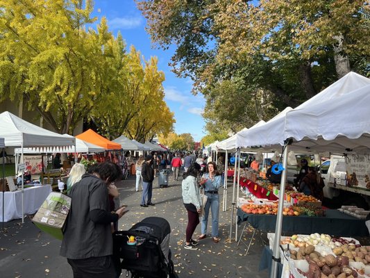 Modesto Certified Farmers' Market by null