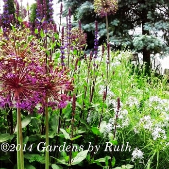Gardens By Ruth - purple flowers in a garden - Gardeners Near Me Gardens By Ruth - purple flowers in a garden - Gardeners Near Me