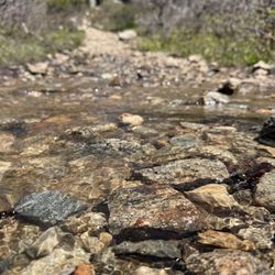 Fish Creek Falls Park - Little creek on the path in mud season