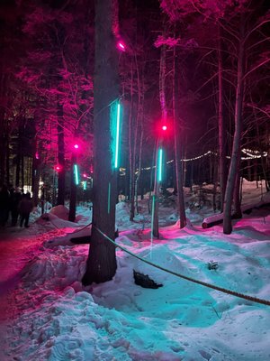 Ice Castles by null
