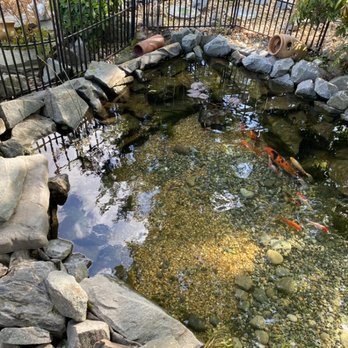 HydroZen Waterscapes - Crystal clear water quality with developed ecosystem and proper maintenance - Pool & Hot Tub Service Near Me - Millsboro, Delaware HydroZen Waterscapes - Crystal clear water quality with developed ecosystem and proper maintenance - Pool & Hot Tub Service Near Me - Millsboro, Delaware
