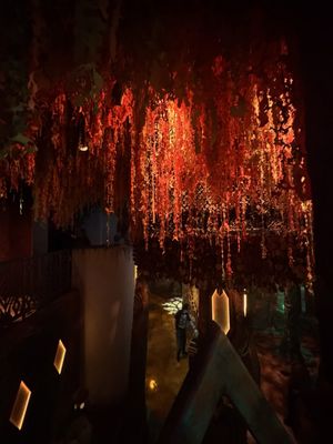 Meow Wolf Houston | Radio Tave by null