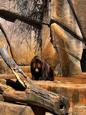 Milwaukee County Zoo by null