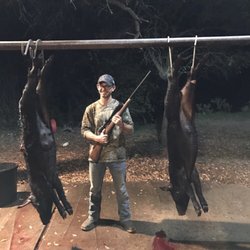 Wrights Creek Outfitter - Both hogs killed with one shot.