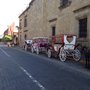 Photo of Calandrias de la calle Ramón Corona