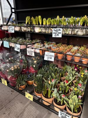 Trader Joe's by null