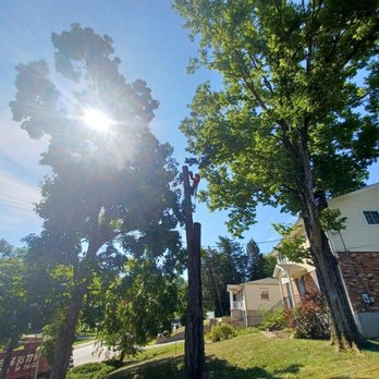 Rojas Chops Tree Service - Tree Services Near Me - Cincinnati, Ohio