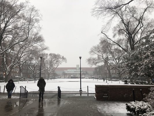 Brooklyn College by null