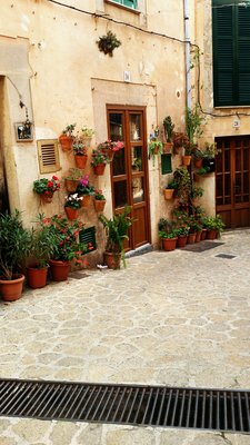 Valldemossa by null