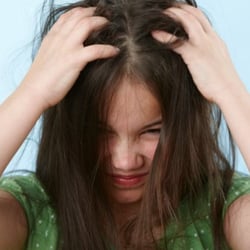 Nitsypixies Lice Removal Service and Treatment