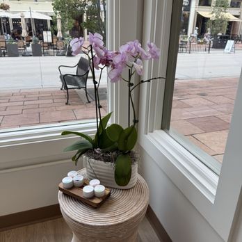 Sway Larimer - Lotion scent options - Skin Care Near Me - Denver, Colorado