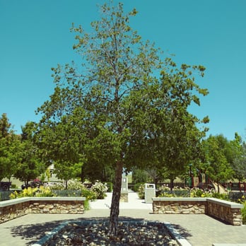 Vieira Park - Parks Near Me - San Jose, California Vieira Park - Parks Near Me - San Jose, California