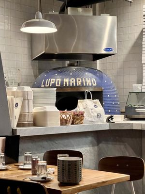 Lupo Marino by null