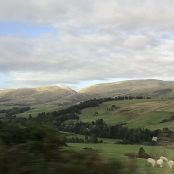 Hadrian's Wall - The view and sheep. - Tours Near Me - Once Brewed, NBL