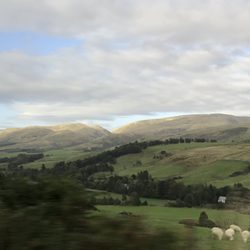 Hadrian's Wall - The view and sheep.