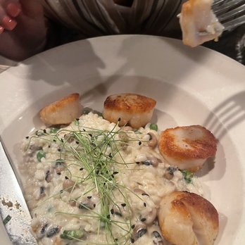 Drew's Bayshore Bistro - Scallops - New American Near Me - Keyport, New Jersey