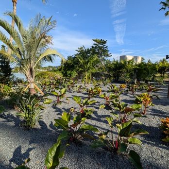 Land Creations Landscaping - Landscaping Near Me - Key West, Florida Land Creations Landscaping - Landscaping Near Me - Key West, Florida