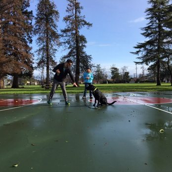 Lori Hamilton Dog Training - Pet Training Near Me - Los Gatos, California Lori Hamilton Dog Training - Pet Training Near Me - Los Gatos, California