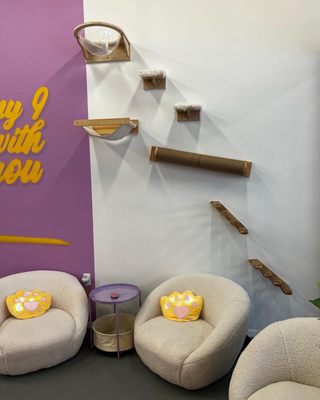 Purrfecto Cat Lounge by null