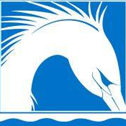 Diamond Respiratory Care