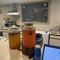 The Lilly Pad Cafe
