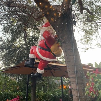 Dada - Santa!! Great decor - New American Near Me - Delray Beach, Florida Dada - Santa!! Great decor - New American Near Me - Delray Beach, Florida