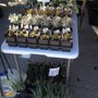 Photo of Farmers Market