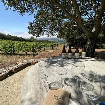Hanzell Vineyards - Beautiful view from our table - Wineries Near Me - Sonoma, California Hanzell Vineyards - Beautiful view from our table - Wineries Near Me - Sonoma, California