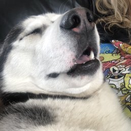 Jack says thank you (this is him napping after his appointment, in moms arms ) Jack says thank you (this is him napping after his appointment, in moms arms )