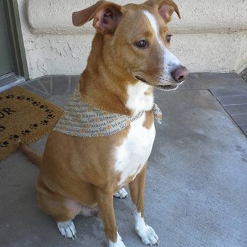 Doggie Day Spa - One happy customer!! - Pet Groomers Near Me - Moreno Valley, California